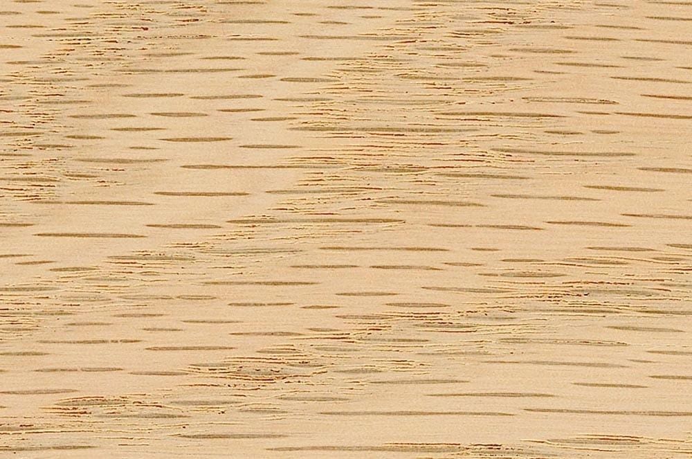 Red Oak (O) wood sample